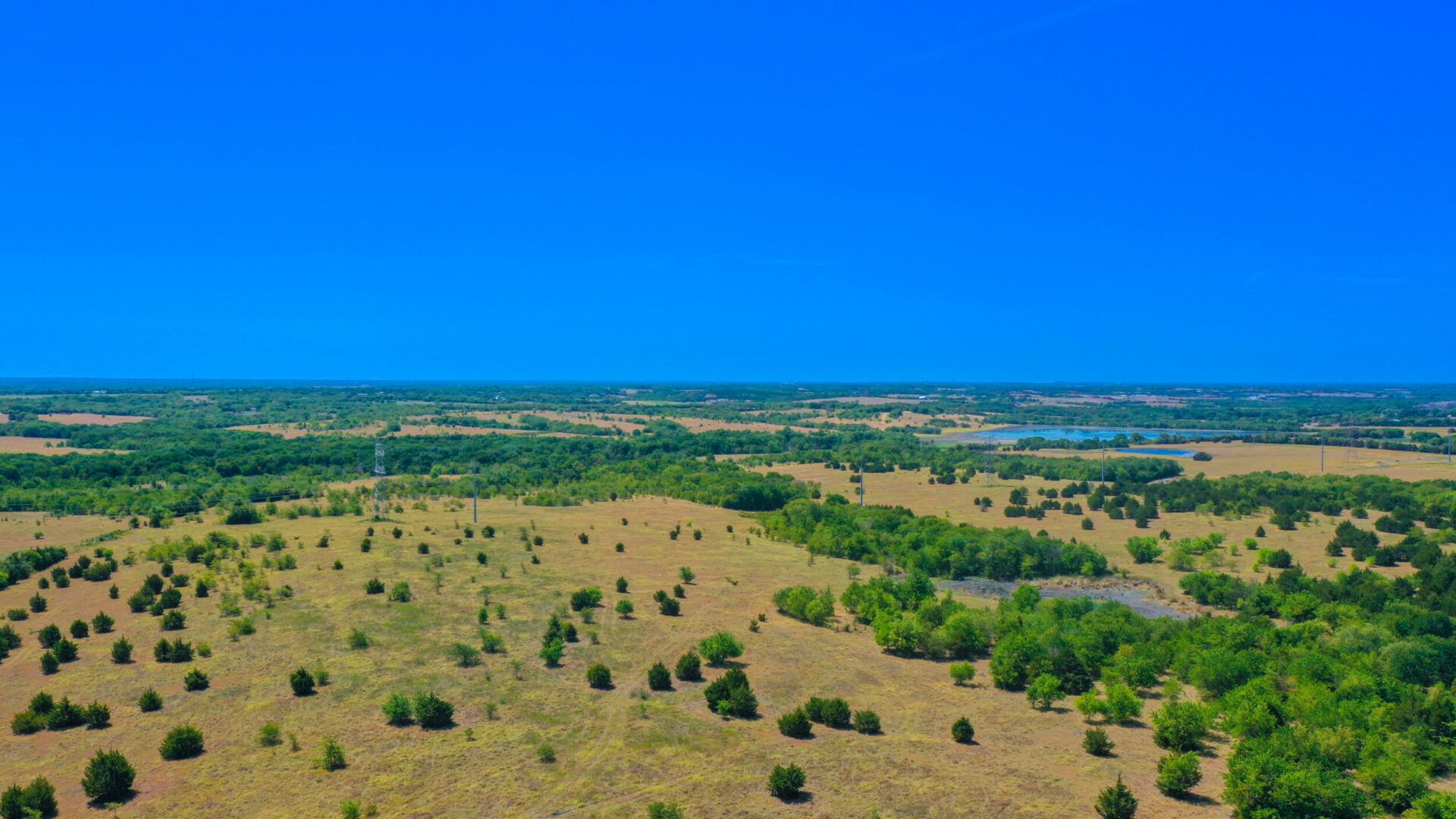 Horizon Lakes,75032