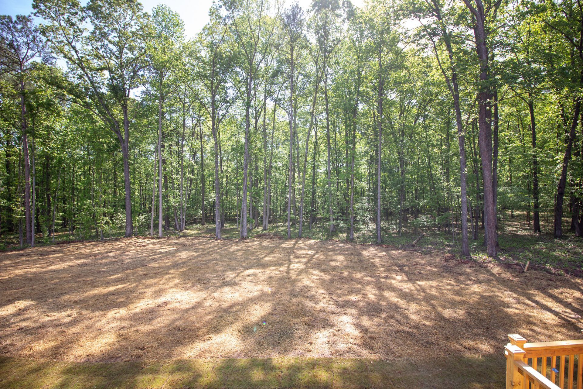 Jeff Davis Plantation,30215