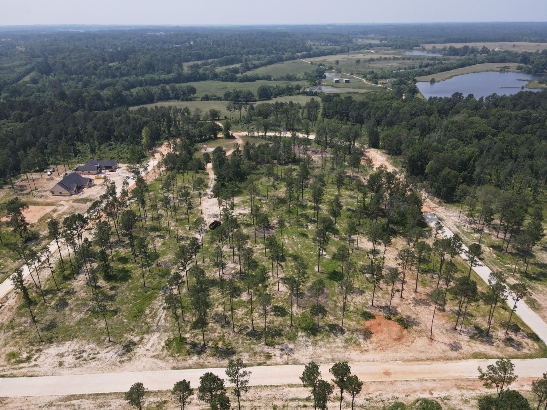Southern Pines,75650