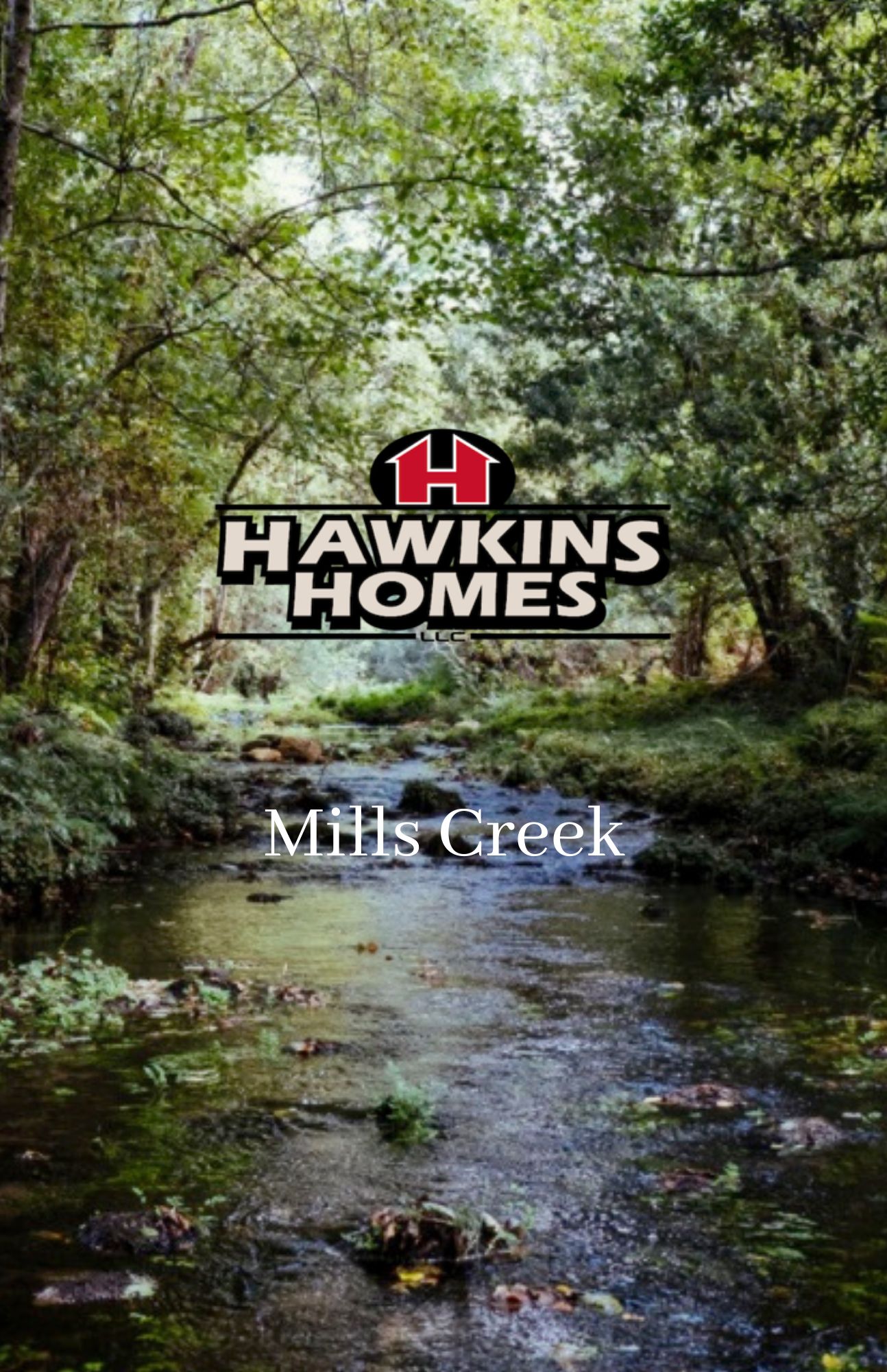 Mills Creek,37042