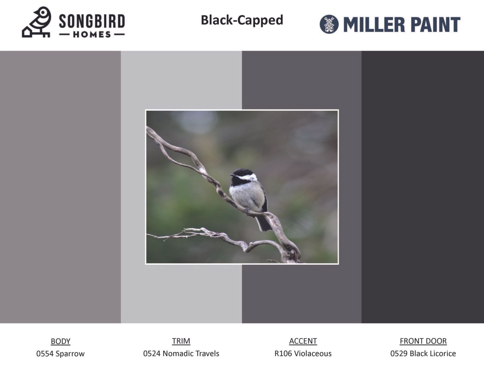 Blackbird Corner,98682