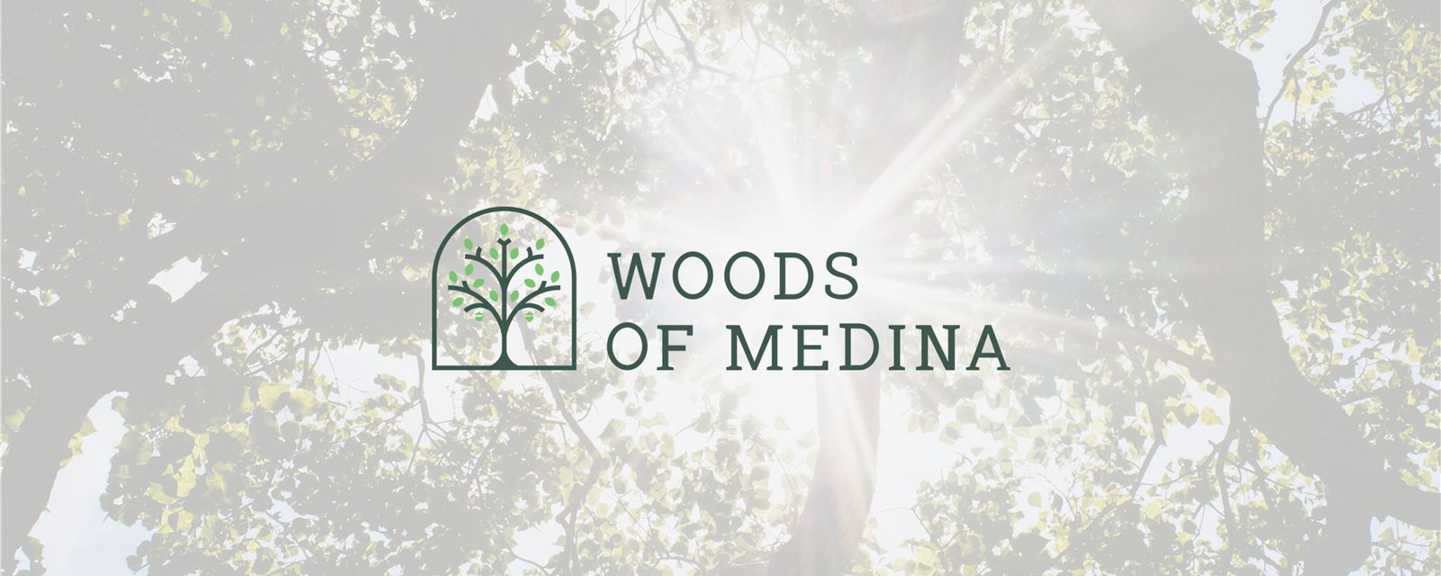 Woods Of Medina,55340