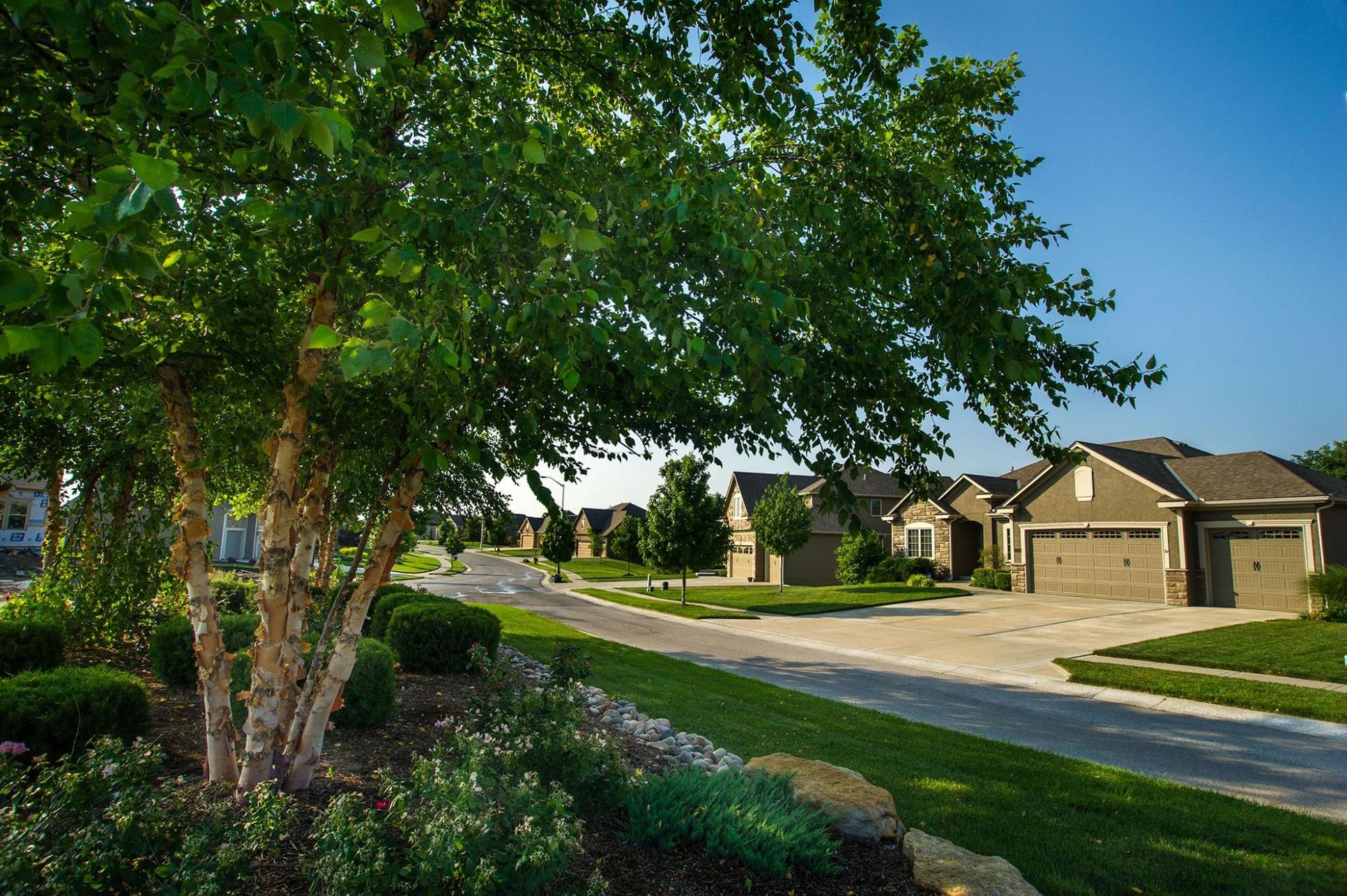 The Park At Staley Hills,64155