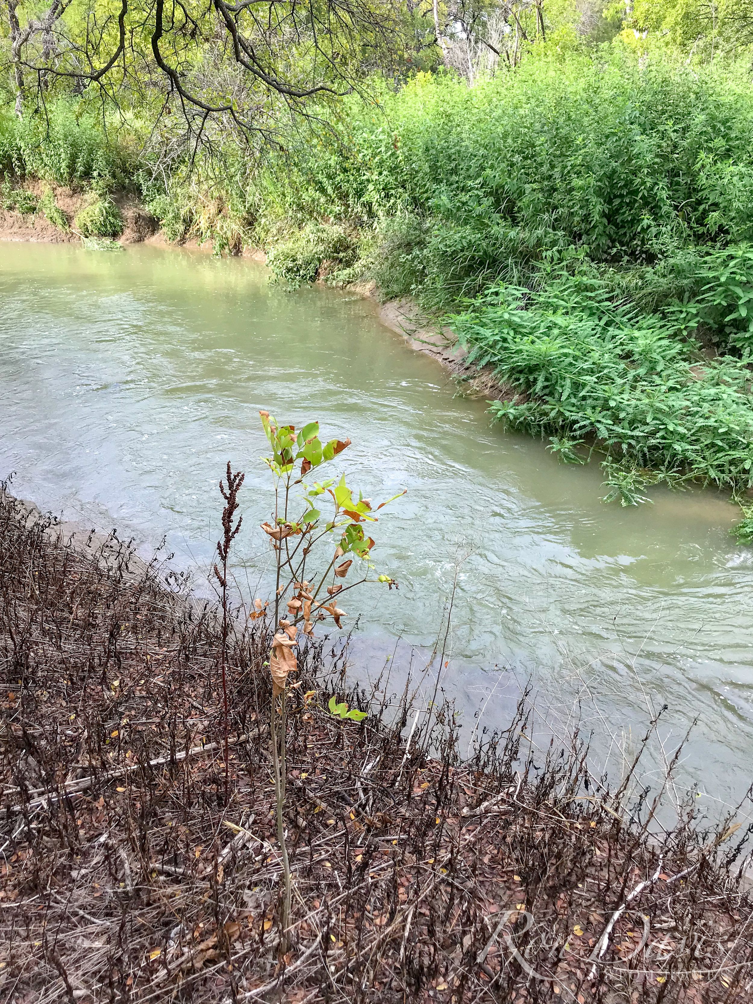 Hills Of Kingswood,75034