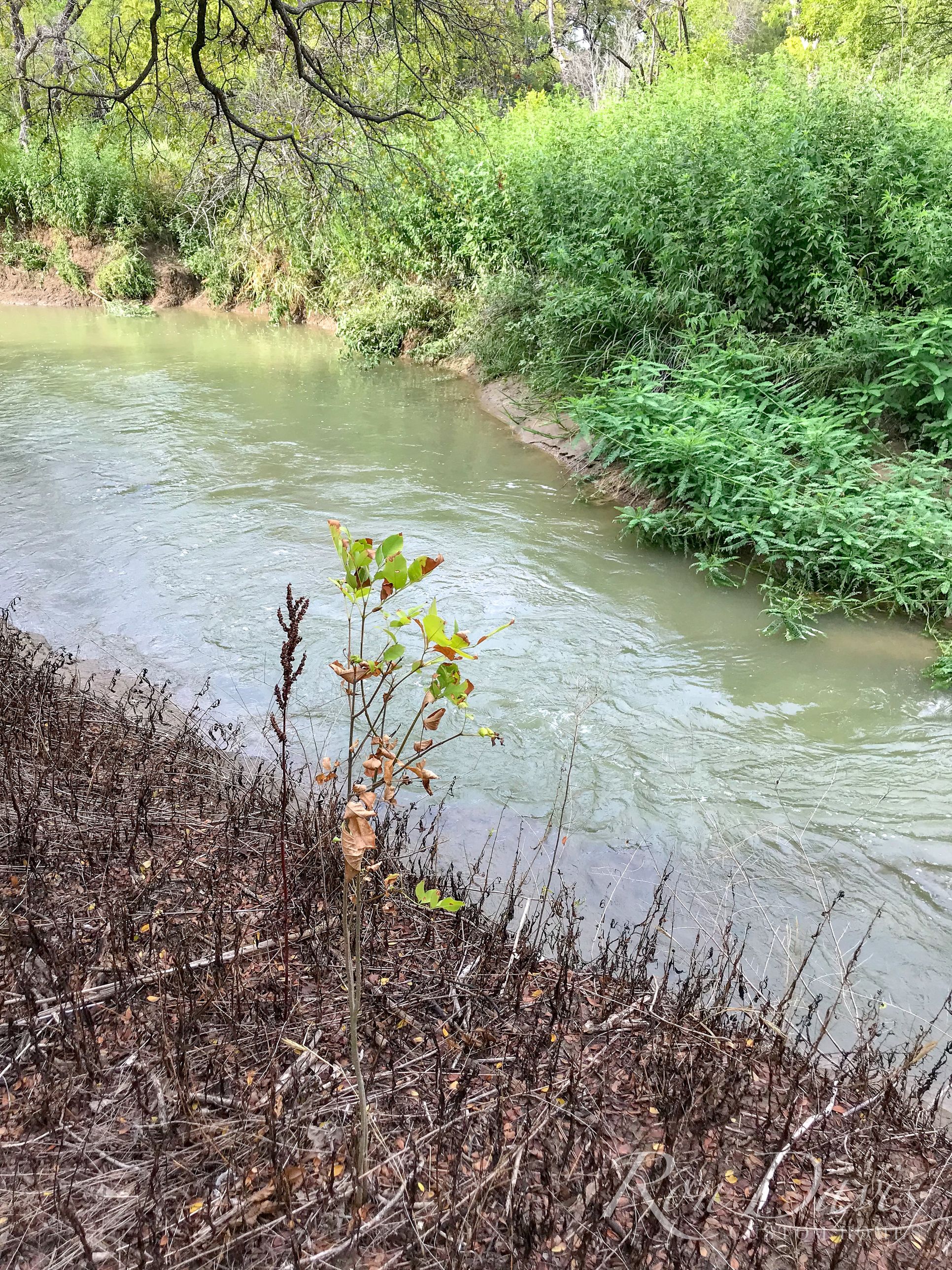 Hills Of Kingswood,75034