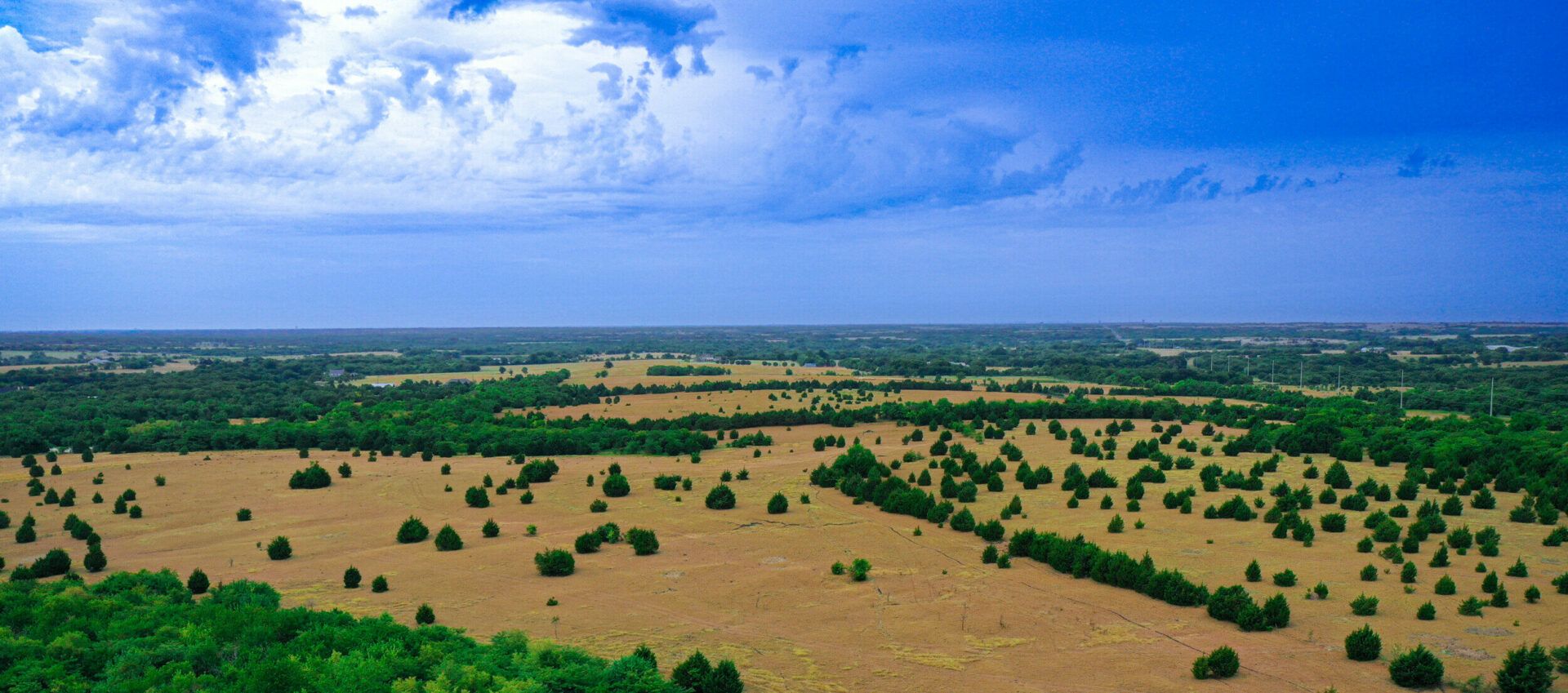 Collin County Tract,75009