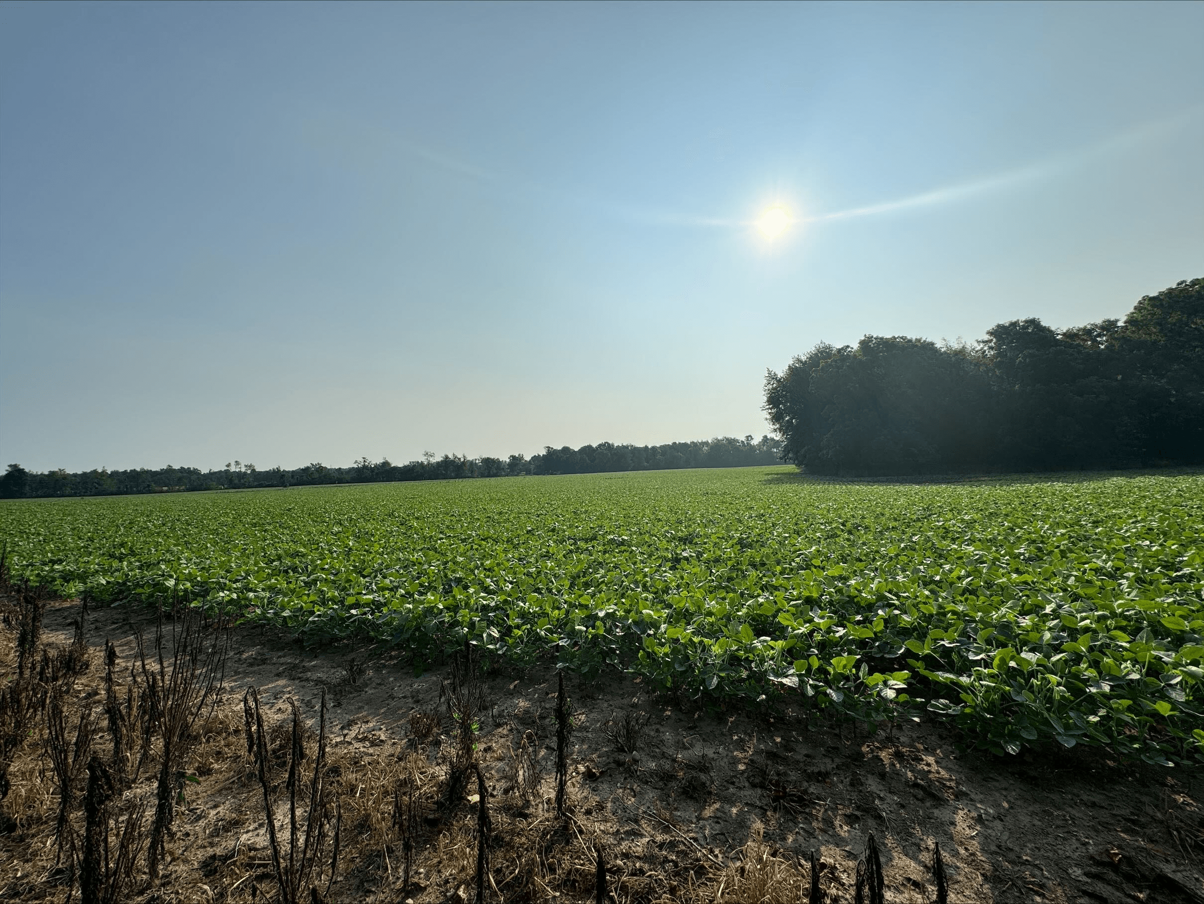 The Beachwoods — Avb Homes & Communities,49024