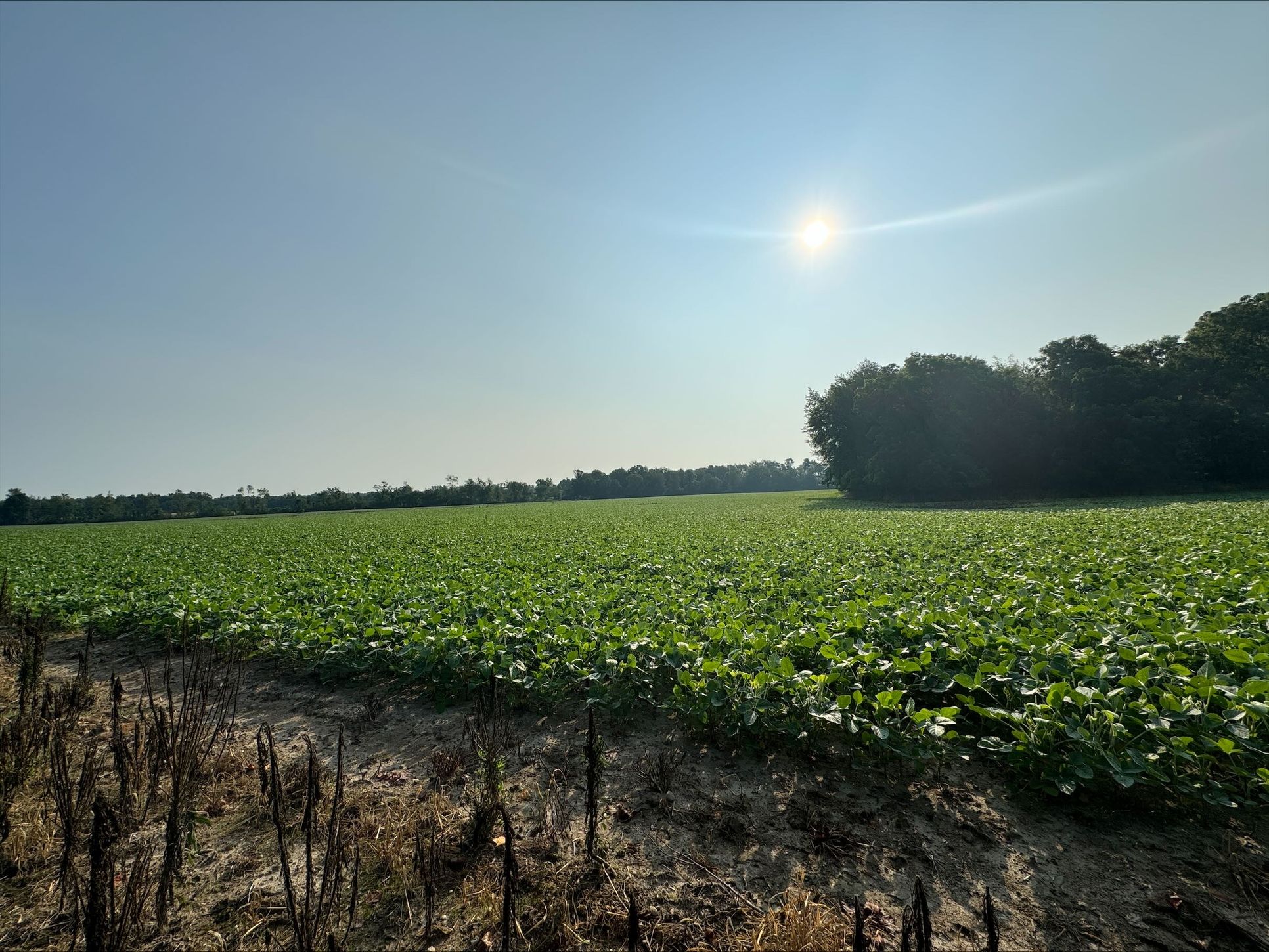 The Beachwoods — Avb Homes & Communities,49024