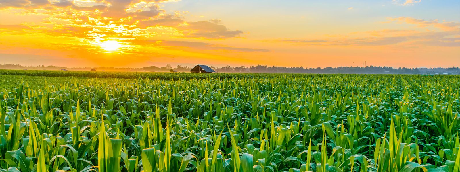 Darrell Kellum, Inc.,23086