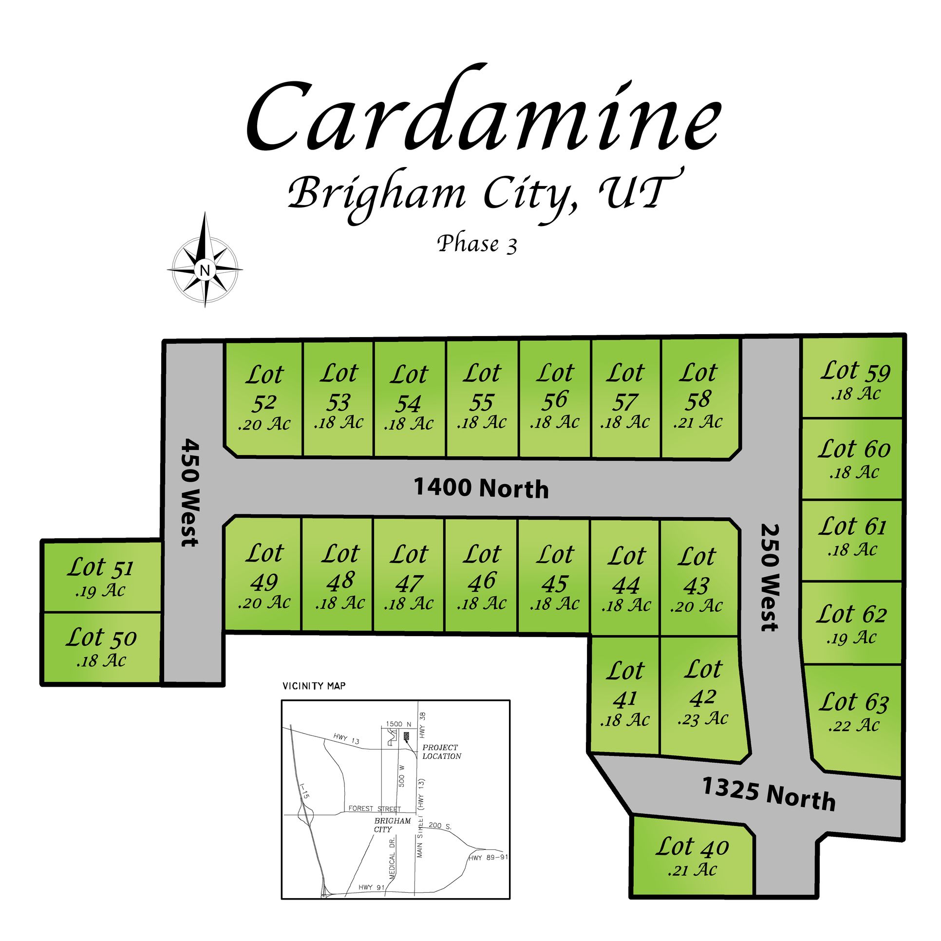 Cardamine,84302
