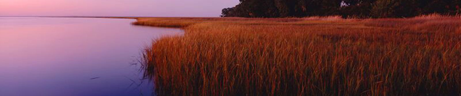 Egret Landing,33073