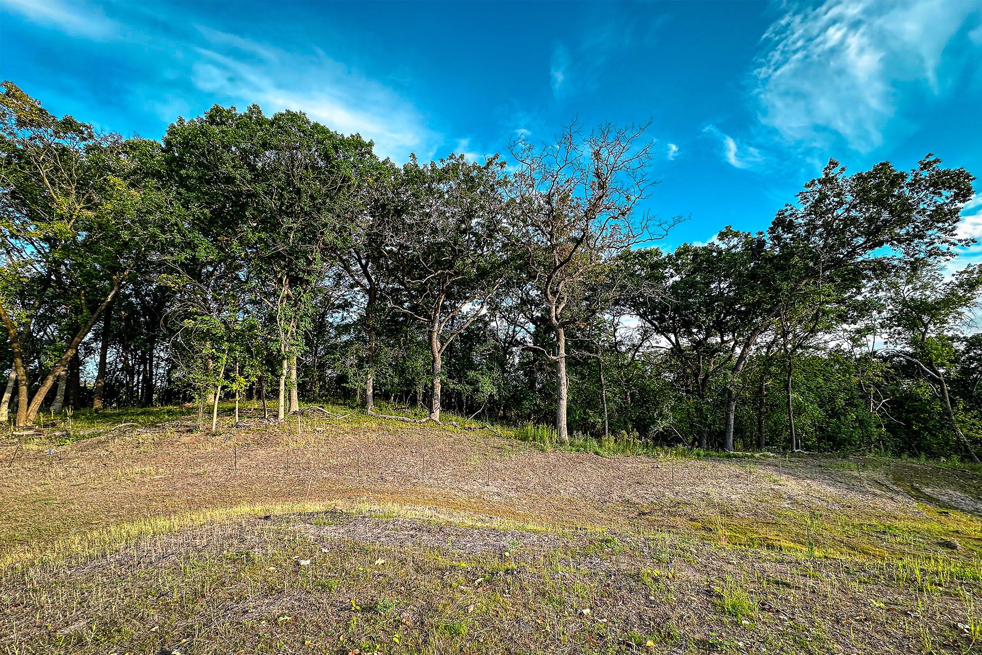 Old Wildwood Oaks,55115