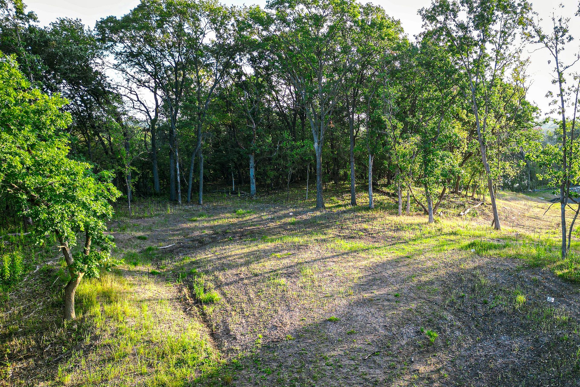 Old Wildwood Oaks,55115