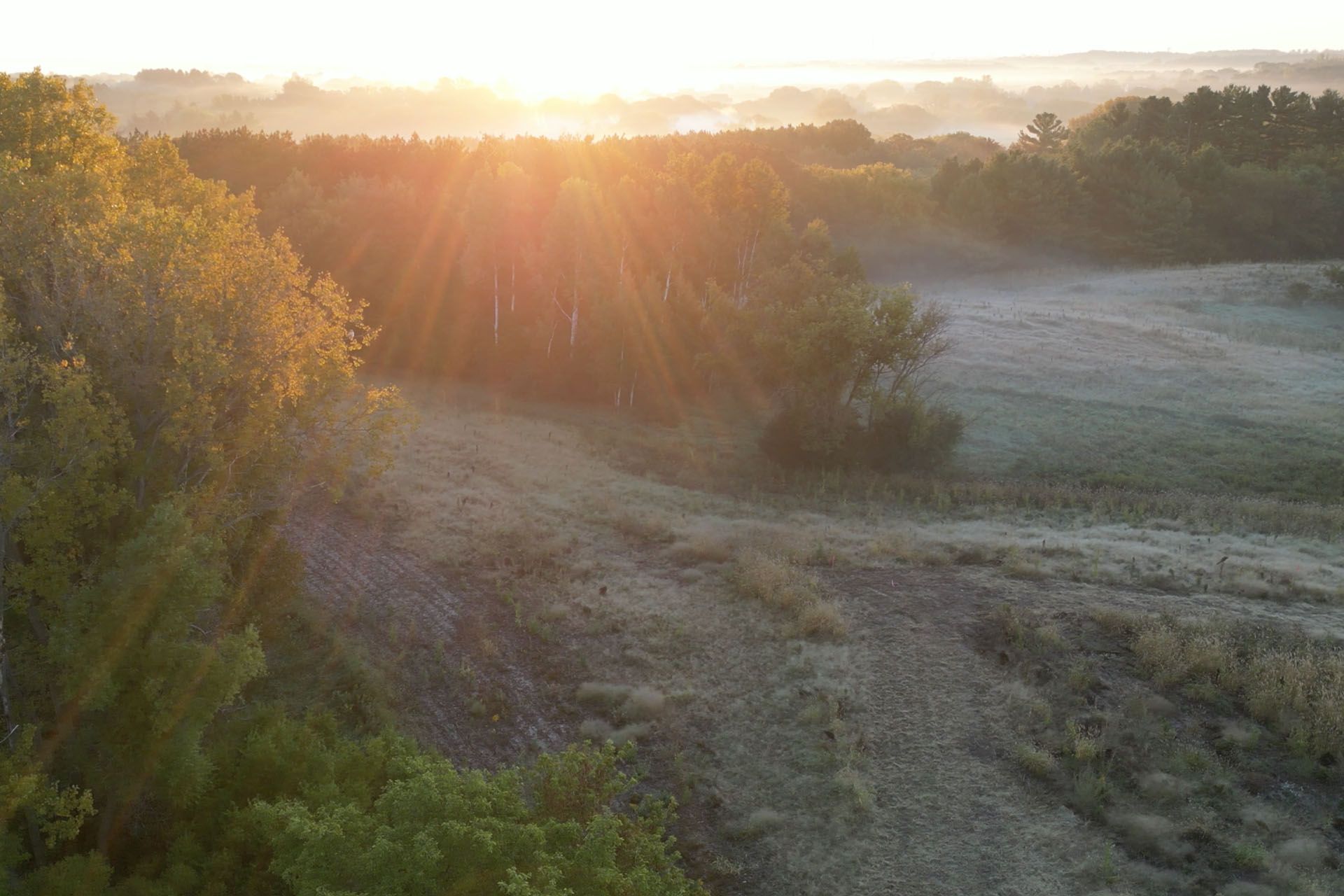 Elliott Crossing,55082