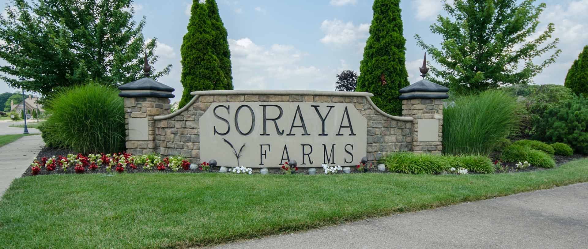 Soraya Farms Lot 249 The Scarlett 9155 Remy CT,45458