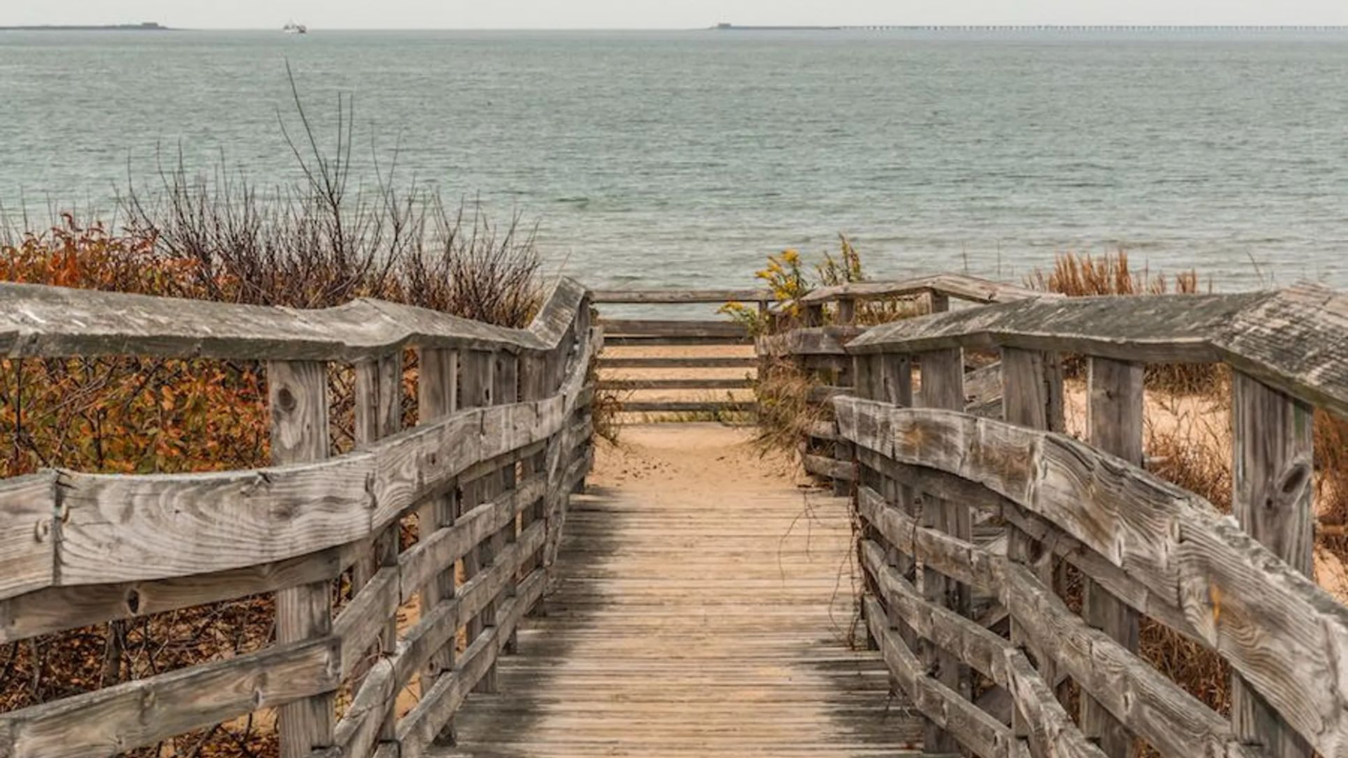 Cape Story By The Sea,23451