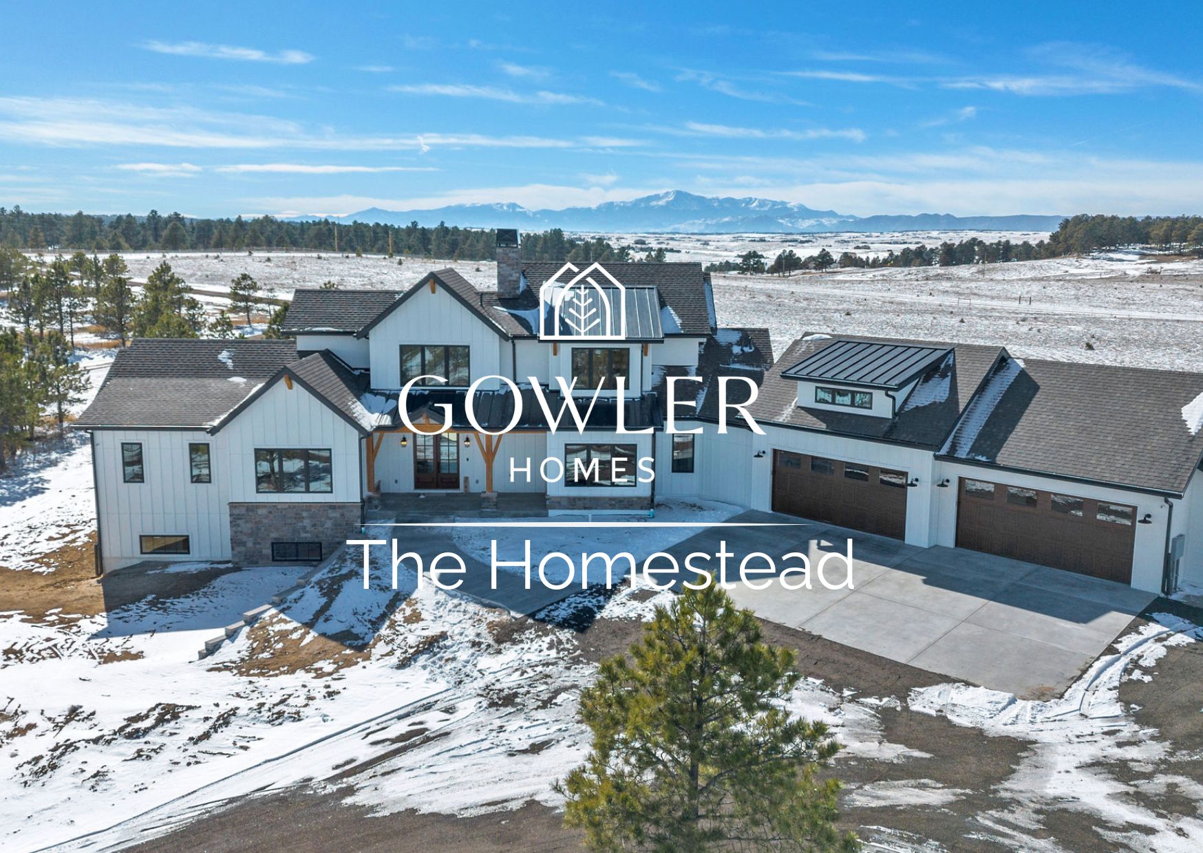 Gowler Homes,80132