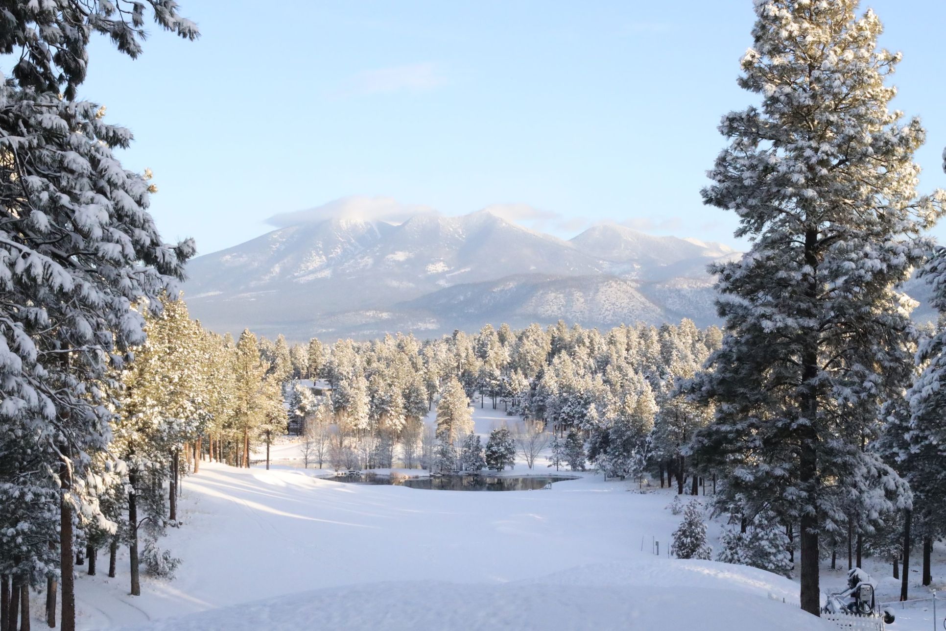 Live Webcam Of Flagstaff,86005