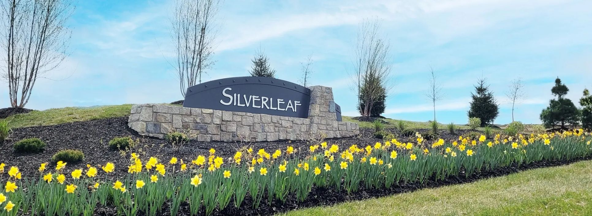 Silver Leaf,66220