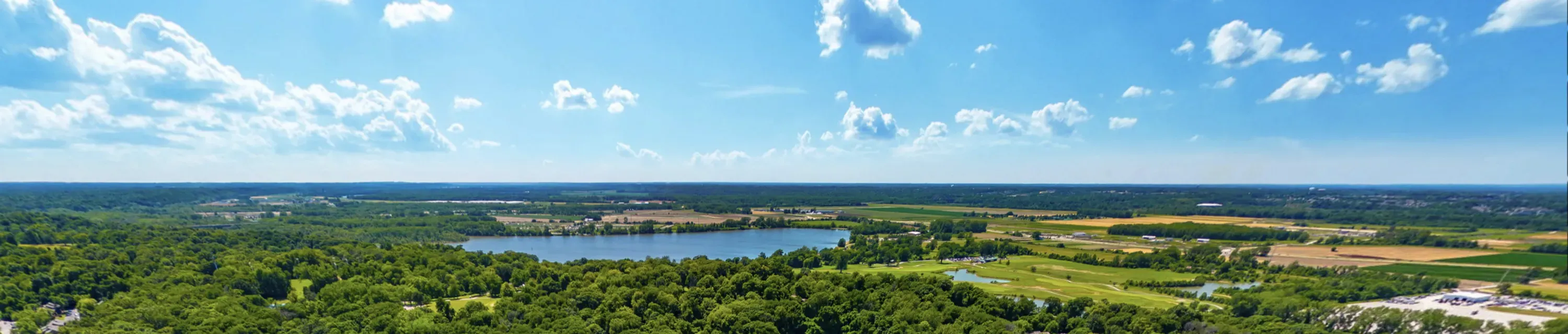 Louiselle Park,63043