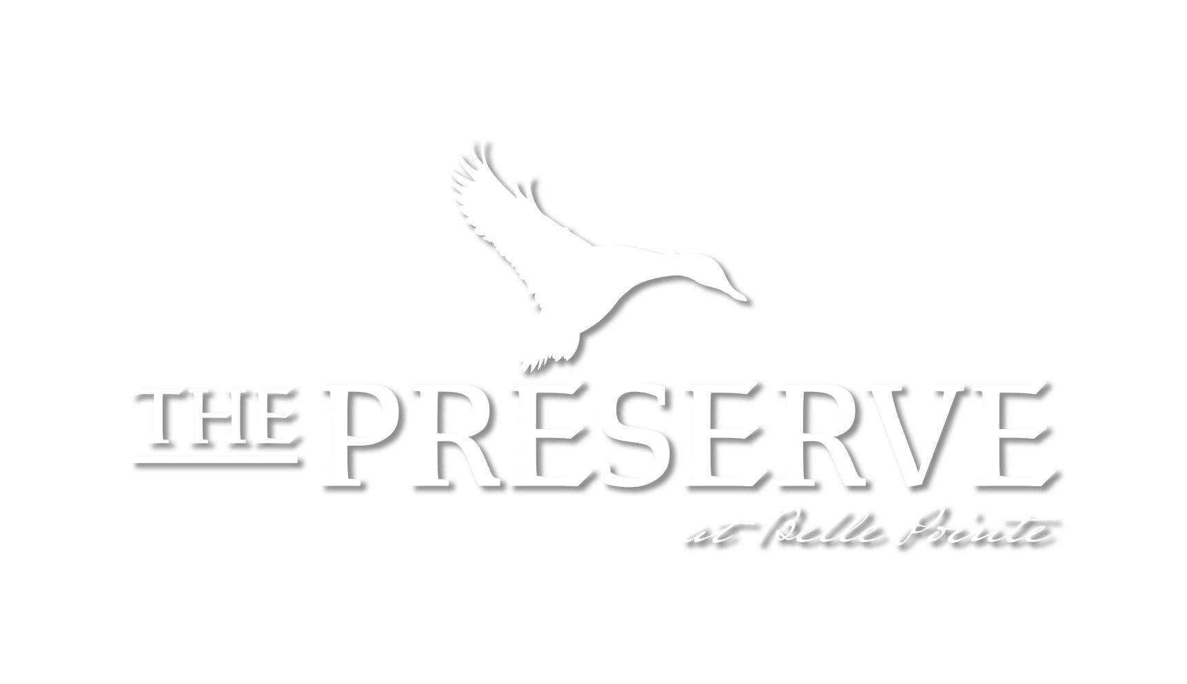 The Preserve At Belle Pointe,37087