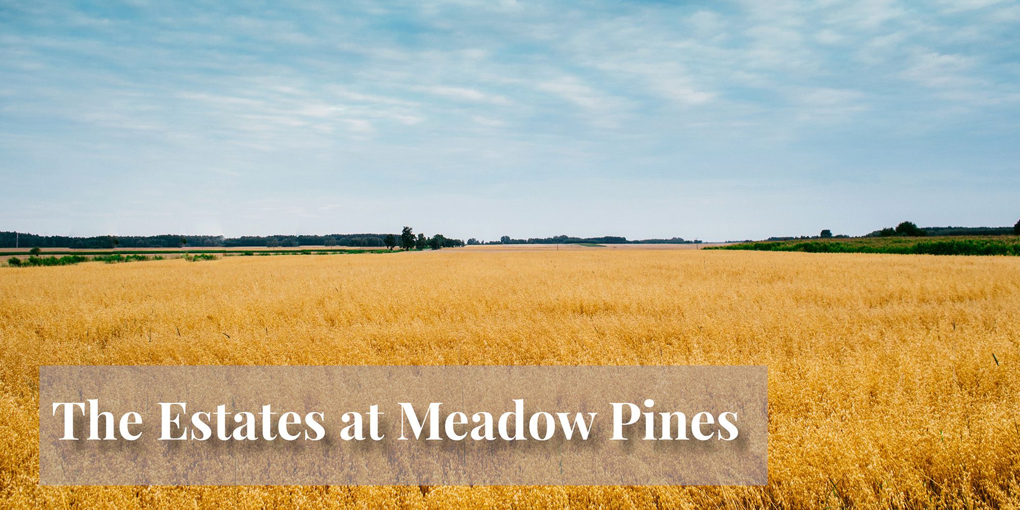 Meadow Pines,62243