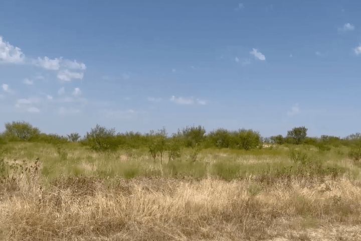 The Reserve At Brock,76087