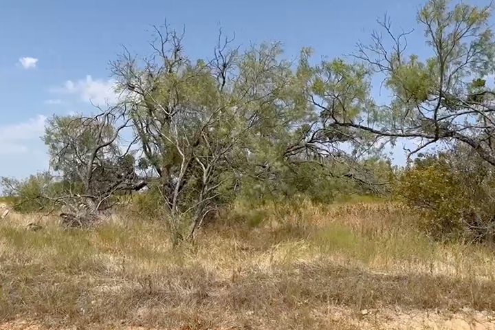 The Reserve At Brock,76087