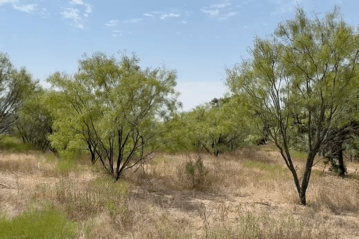 The Reserve At Brock,76087