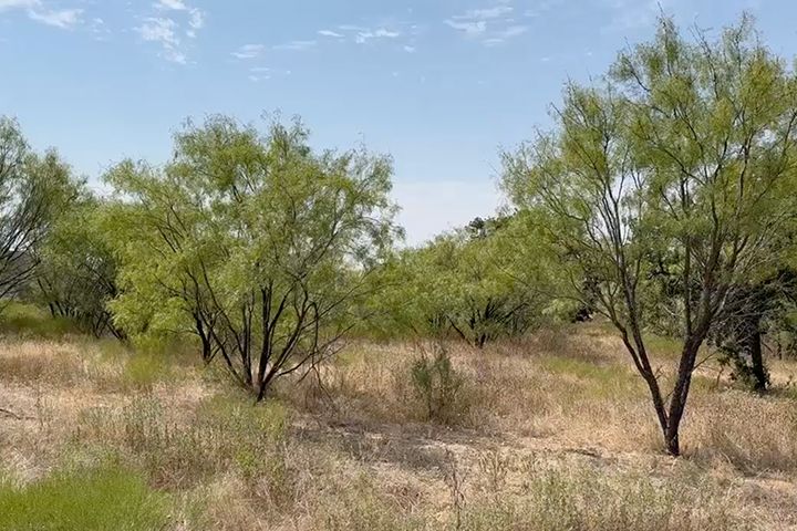 The Reserve At Brock,76087