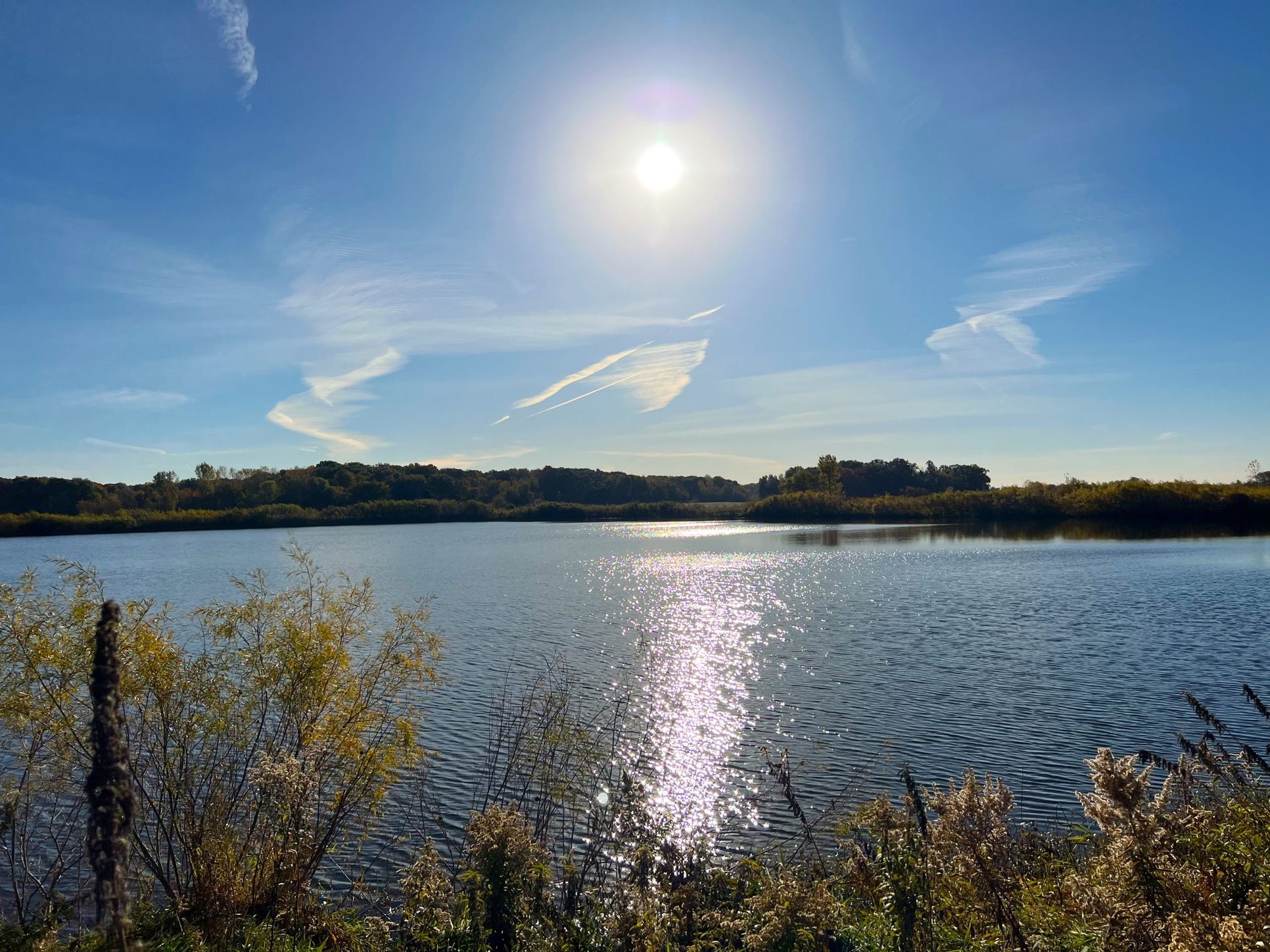 Elwell Farms Neighborhood Development,55446