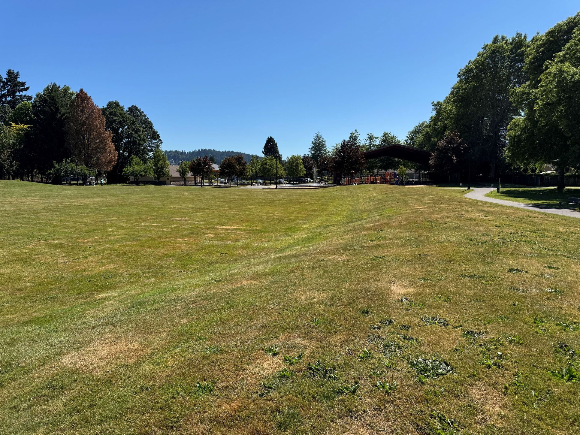Lone Oak Estates,98604