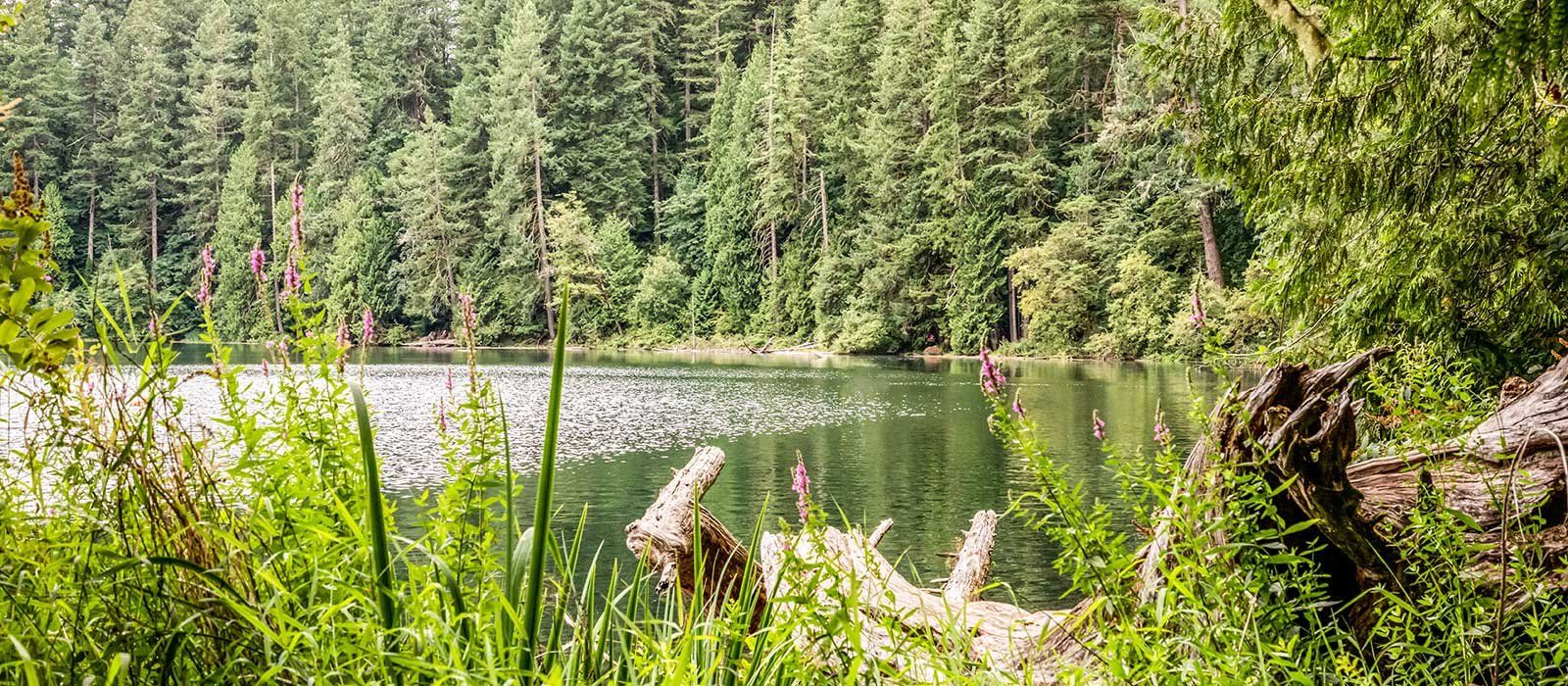 Lone Oak Estates,98604