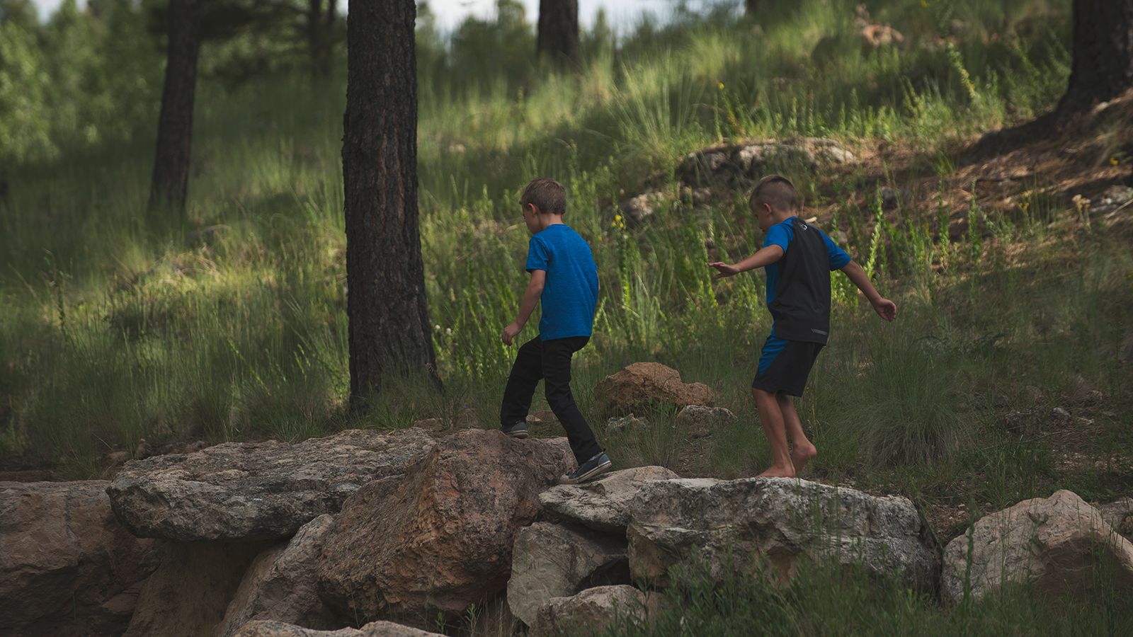 Live Webcam Of Flagstaff,86005