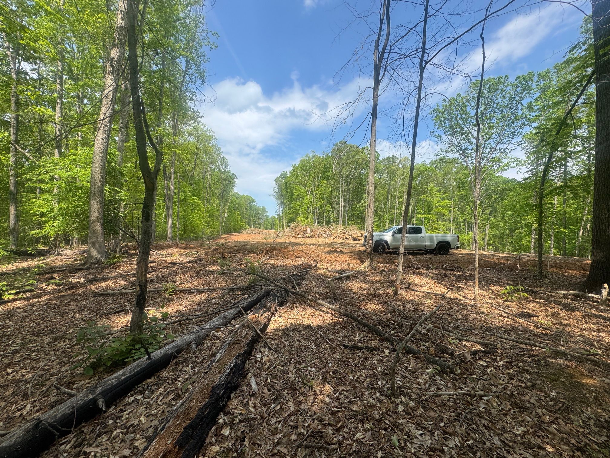 Christy Reserve,22556