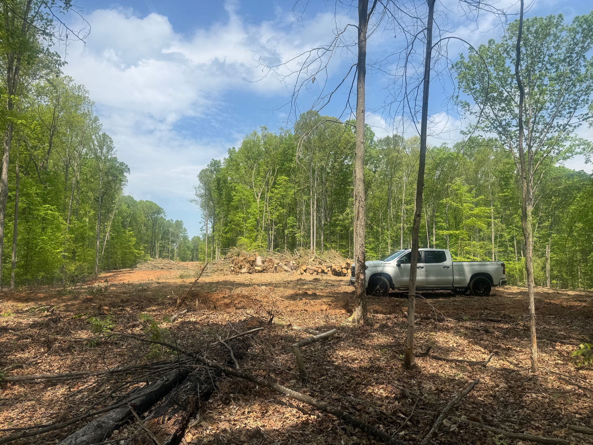 Christy Reserve,22556