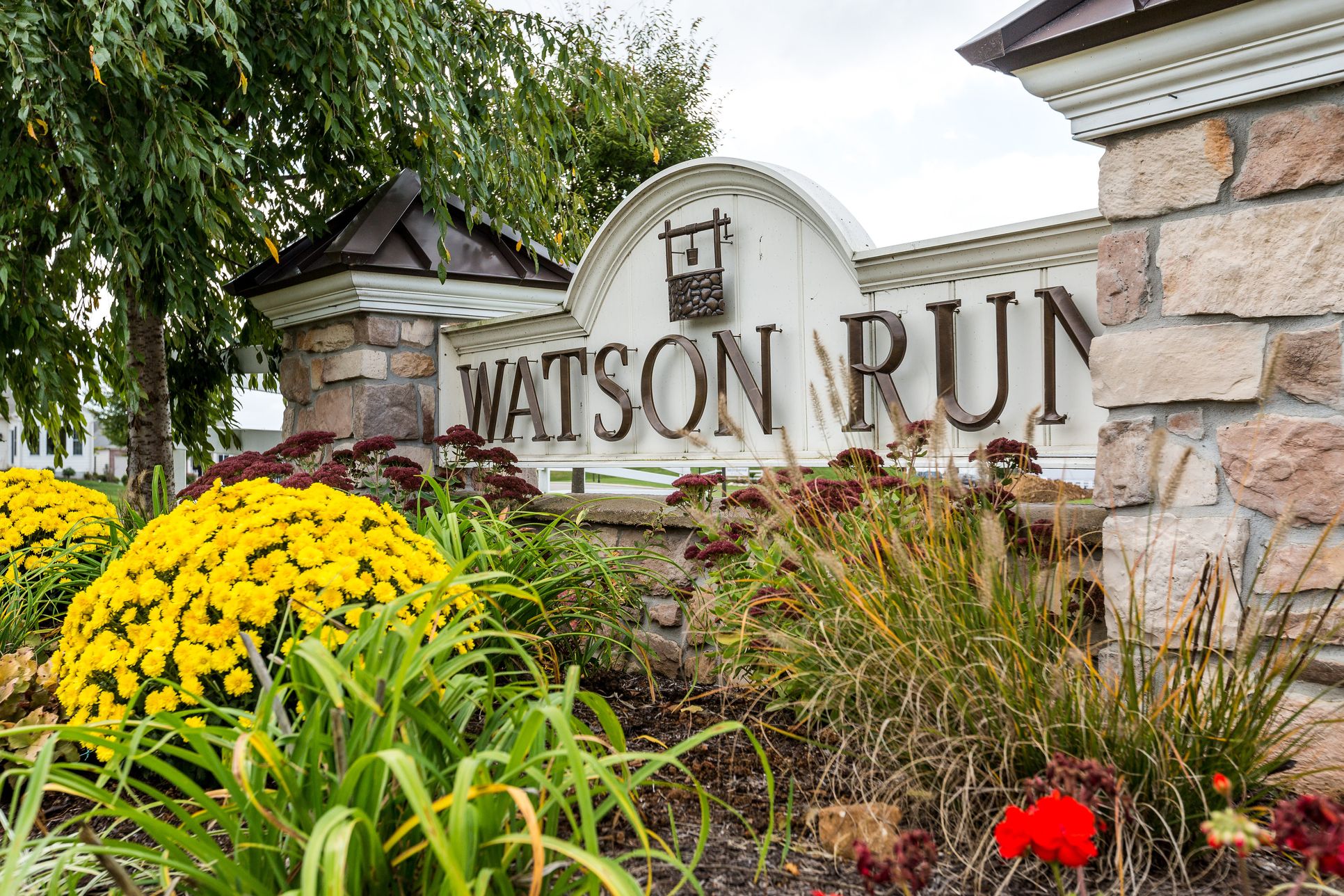 Welcome to Watson Run!