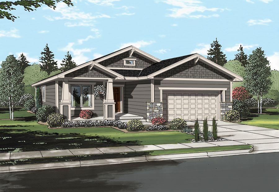 Siding Elevation