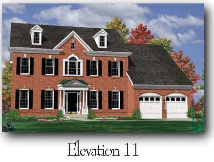 Elevation 11