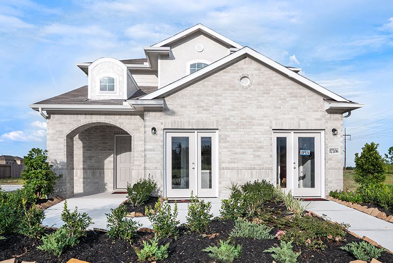 Windrow Mesquite Model