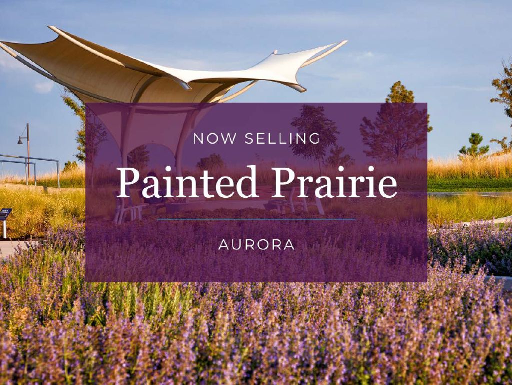 Painted Prairie,80019