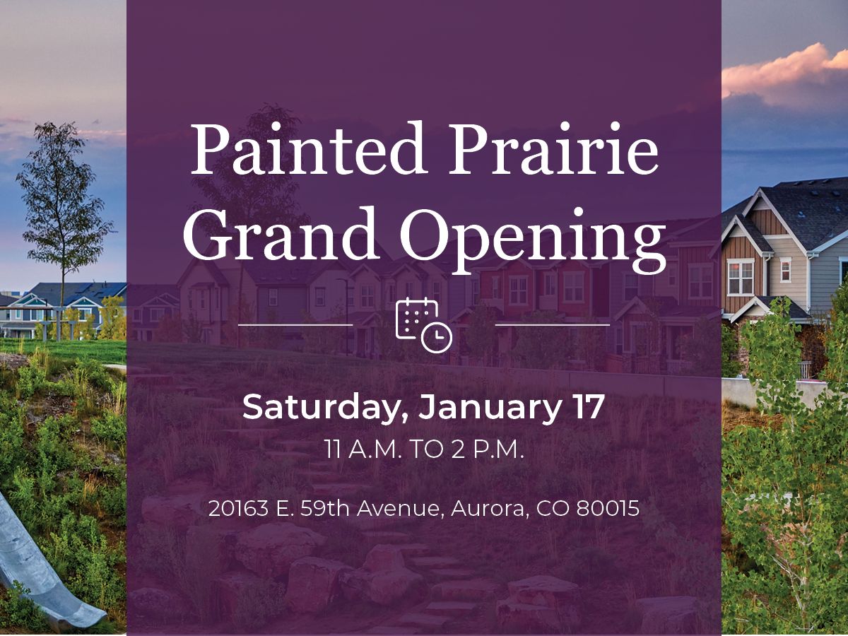 Painted Prairie,80019