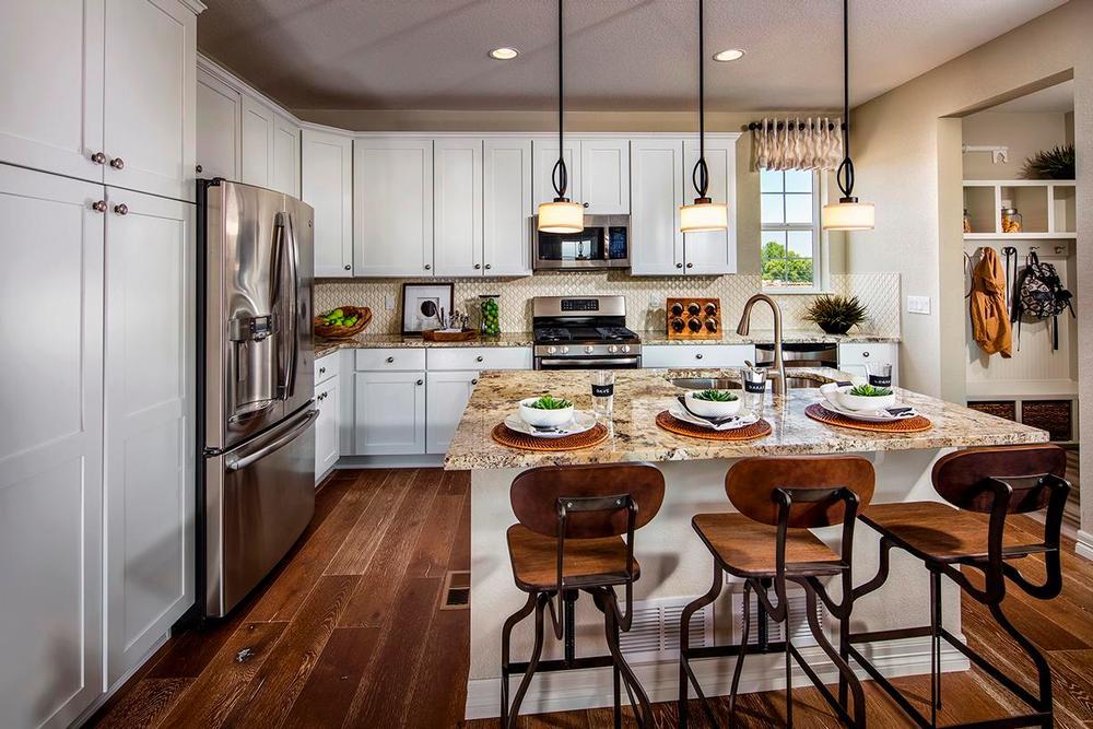 Littleton Village - Single Family Homes