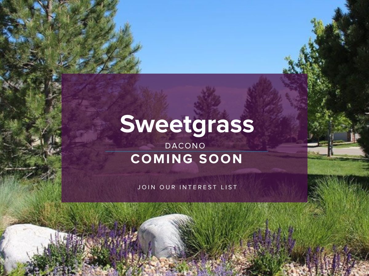 Sweetgrass,80514