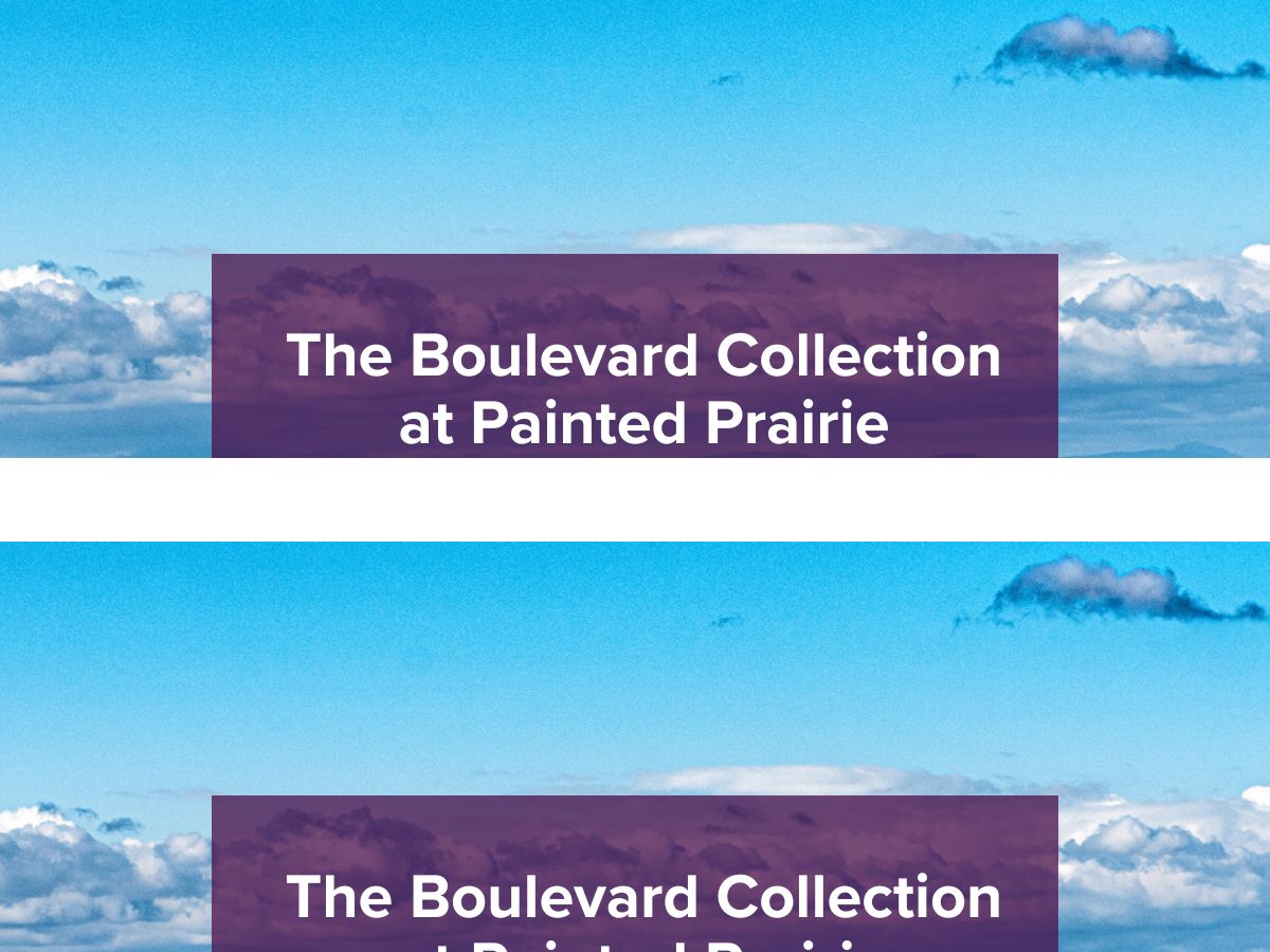 The Boulevard Collection,80019