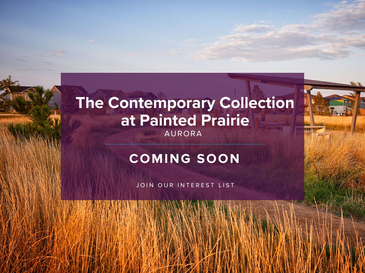 The Contemporary Collection,80019