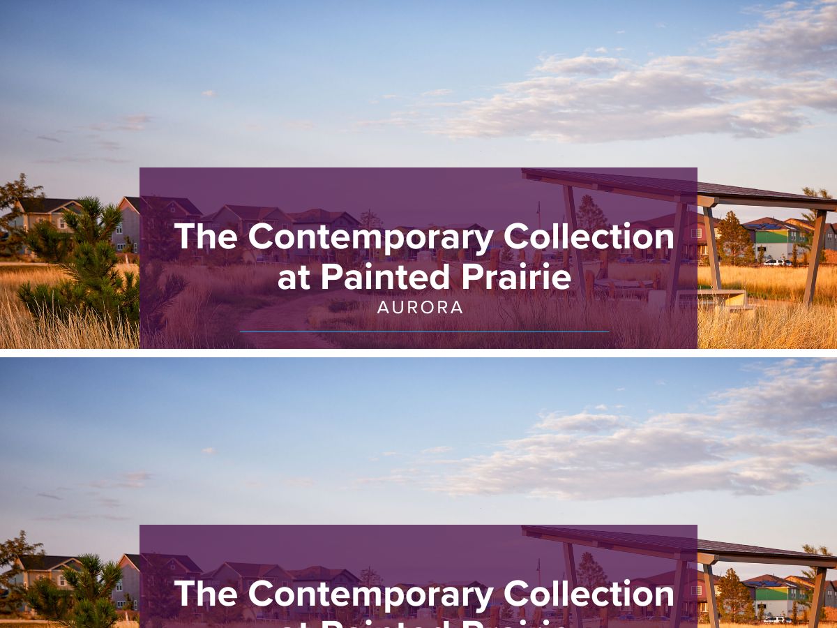 The Contemporary Collection,80019