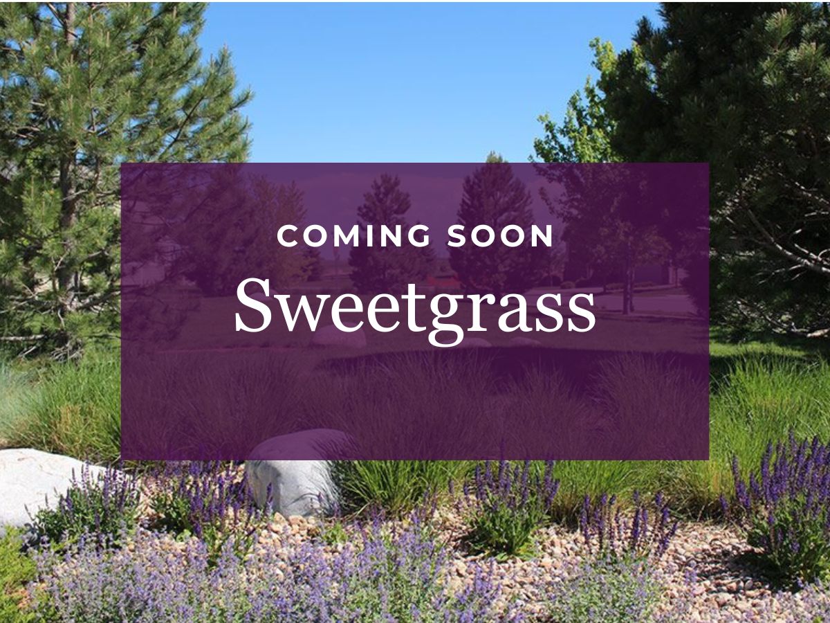 Sweetgrass,80514