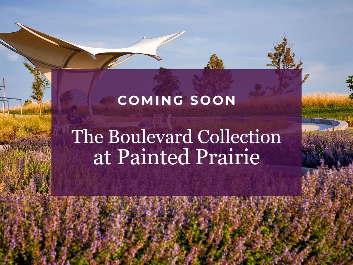 The Boulevard Collection,80019