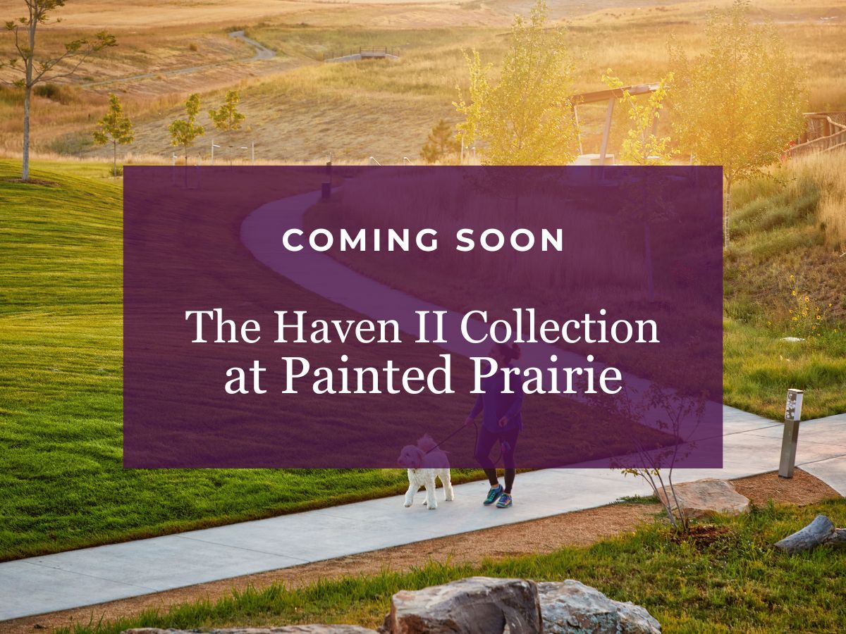 The Haven II Collection,80019
